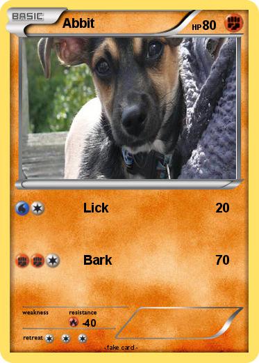 Pokemon Abbit