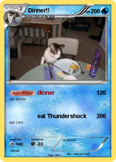 Pokemon Dinner!!