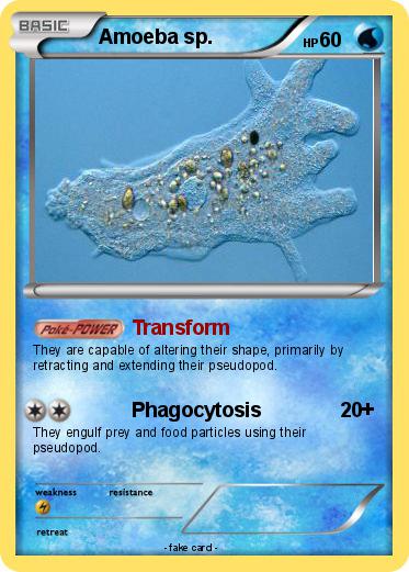 Pokemon Amoeba sp.