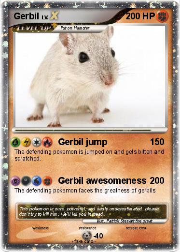 Pokemon Gerbil