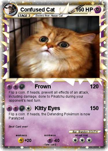 Pokemon Confused Cat