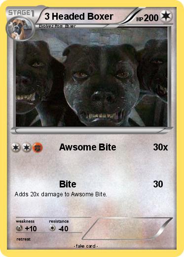 Pokemon 3 Headed Boxer