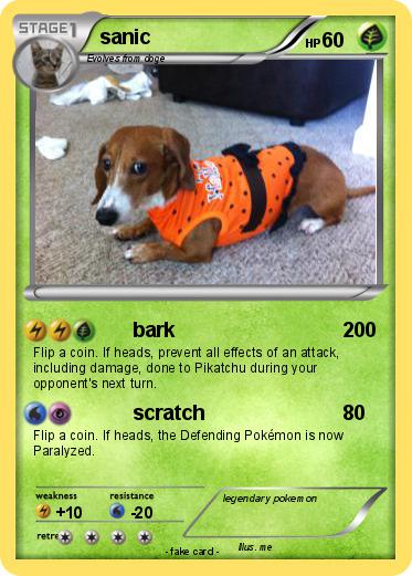 Pokemon sanic