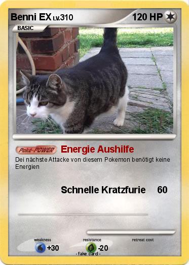 Pokemon Benni EX