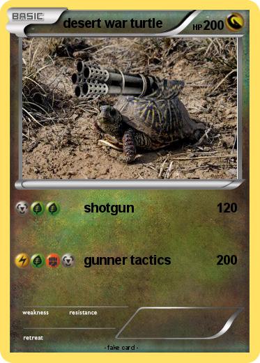 Pokemon desert war turtle