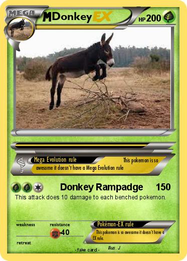 Pokemon Donkey