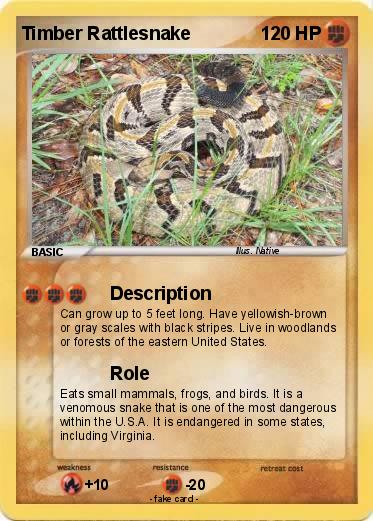 Pokemon Timber Rattlesnake