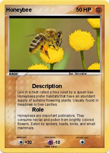 Pokemon Honeybee