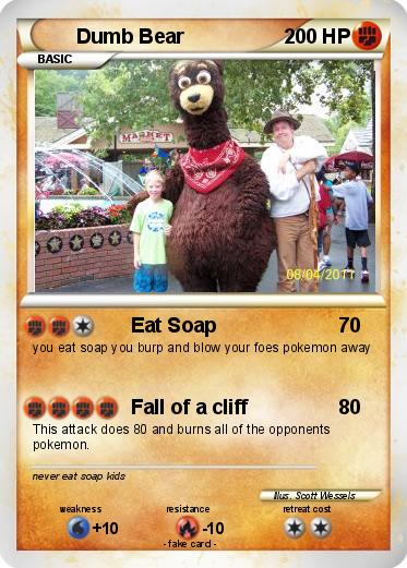 Pokemon Dumb Bear
