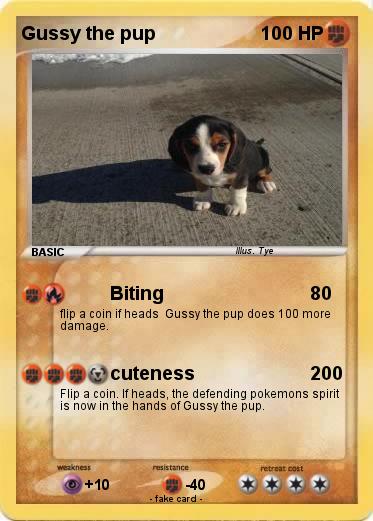 Pokemon Gussy the pup