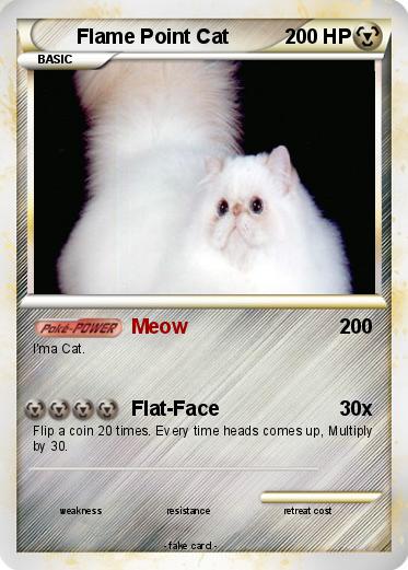 Pokemon Flame Point Cat