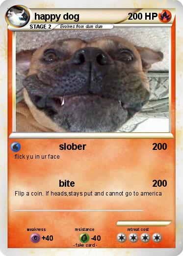 Pokemon happy dog