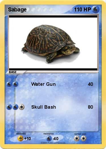 Pokemon Sabage