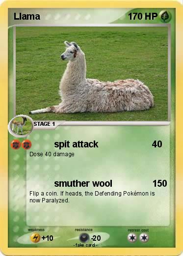 Pokemon Llama