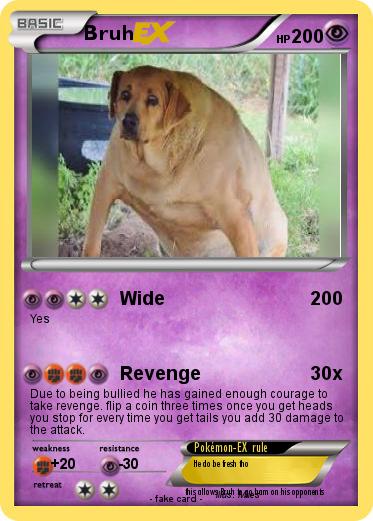 Pokemon Bruh