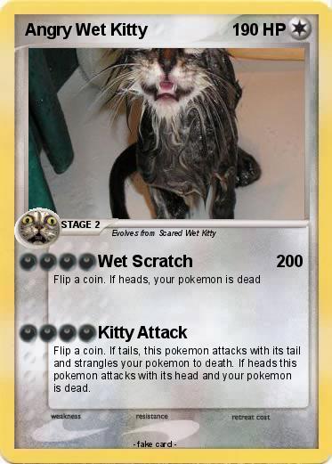 Pokemon Angry Wet Kitty