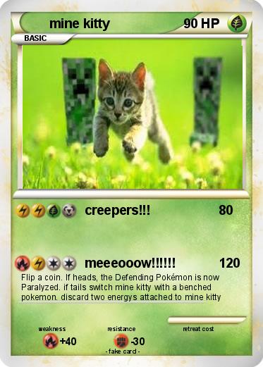 Pokemon mine kitty