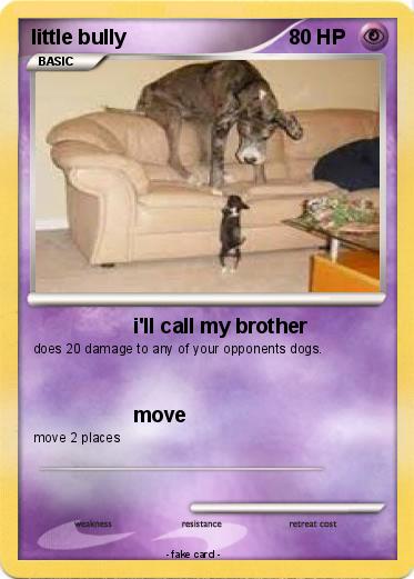 Pokemon little bully