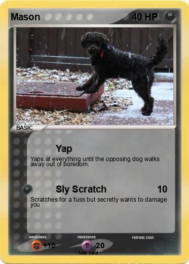 Pokemon Mason