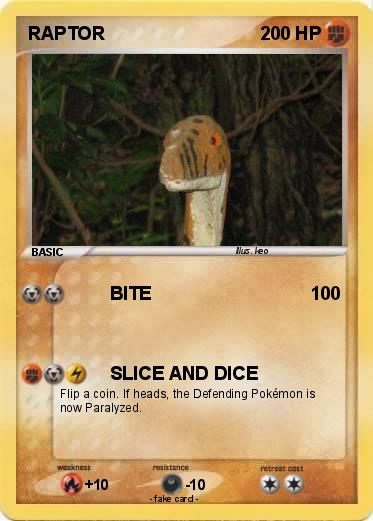 Pokemon RAPTOR