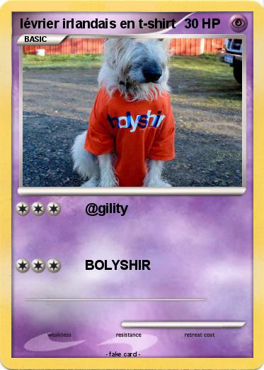 Pokemon lévrier irlandais en t-shirt