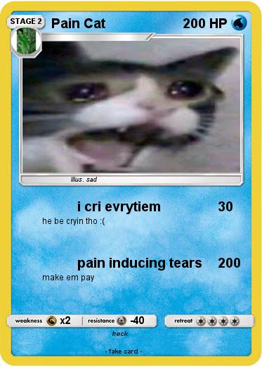 Pokemon Pain Cat