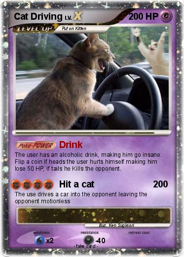 Pokemon Cat Driving