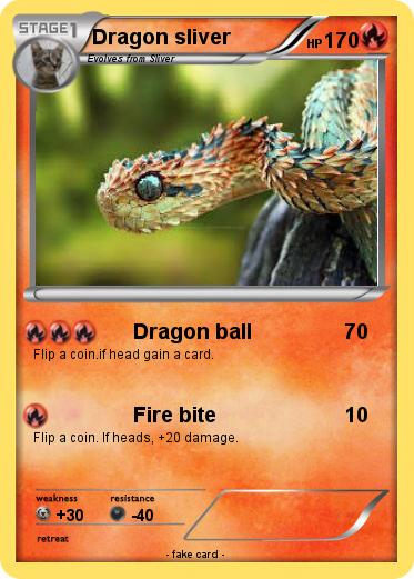 Pokemon Dragon sliver