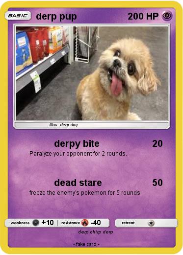 Pokemon derp pup