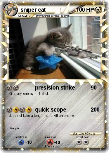 Pokemon sniper cat