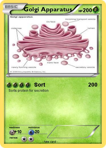 Pokemon Golgi Apparatus