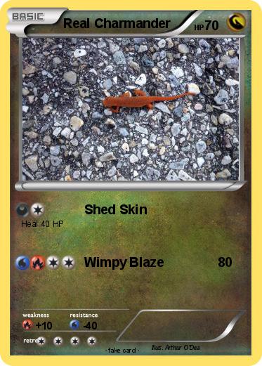 Pokemon Real Charmander