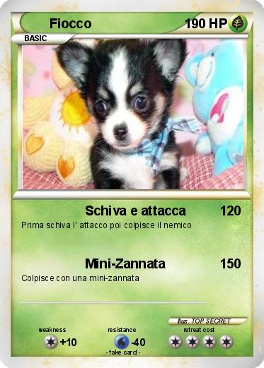 Pokemon Fiocco
