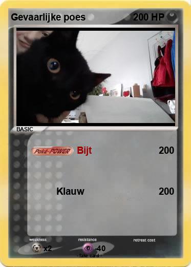 Pokemon Gevaarlijke poes