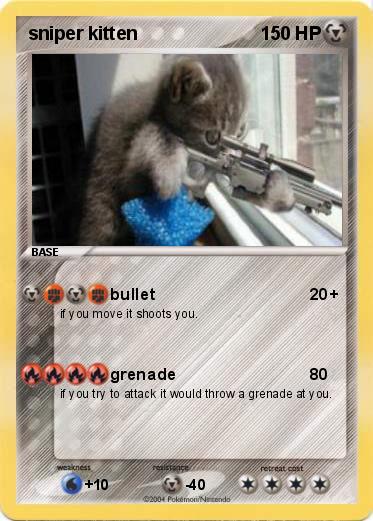 Pokemon sniper kitten