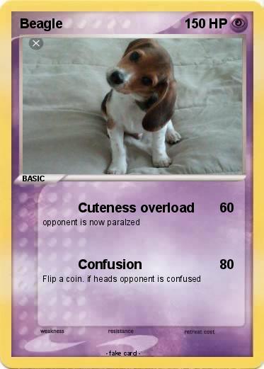 Pokemon Beagle