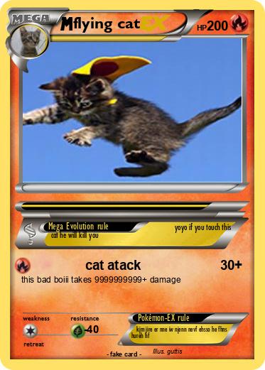 Pokemon flying cat