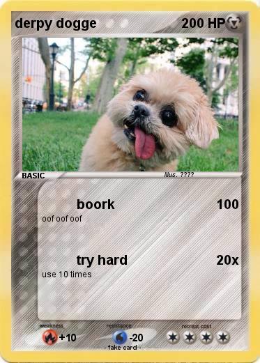 Pokemon derpy dogge