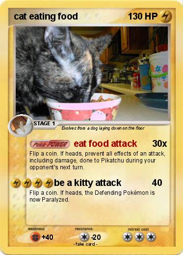 Pokemon cat eating food