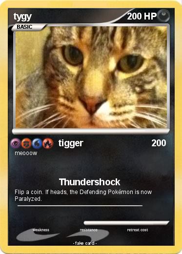 Pokemon tygy