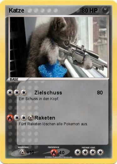 Pokemon Katze