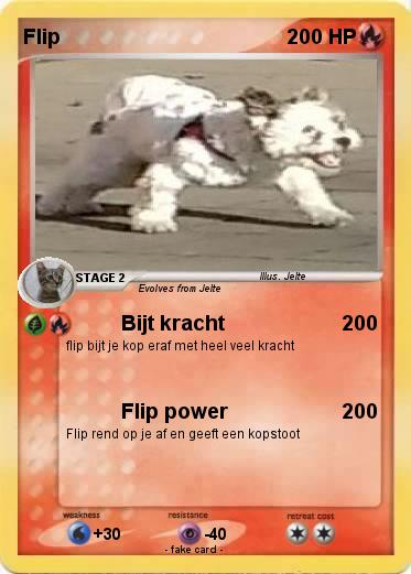 Pokemon Flip