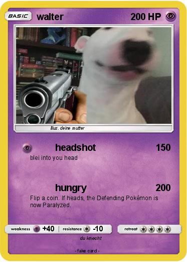Pokemon walter