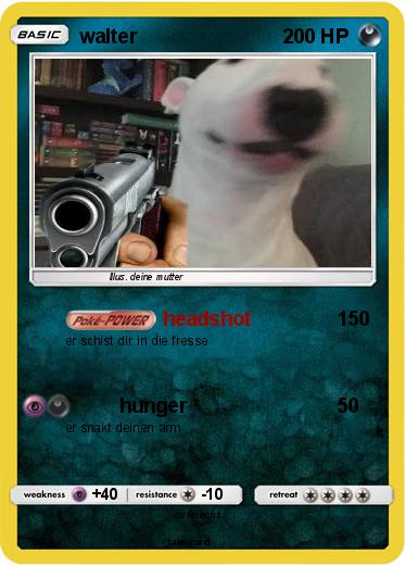 Pokemon walter