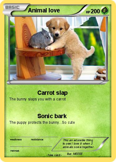Pokemon Animal love