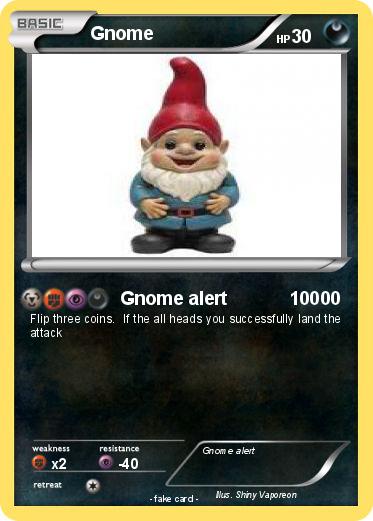 Pokemon Gnome