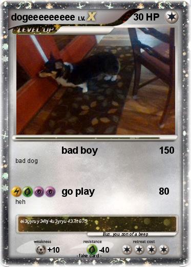 Pokemon dogeeeeeeeee