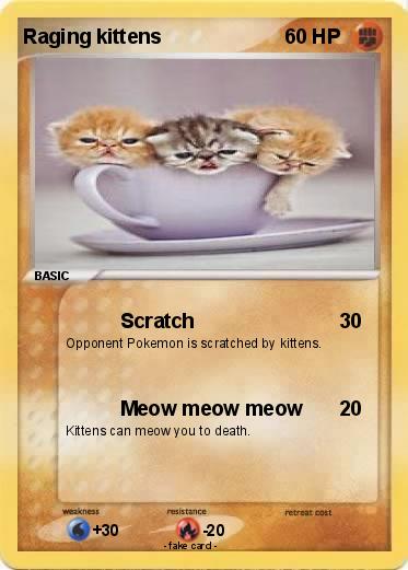 Pokemon Raging kittens