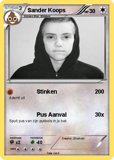 Pokemon Sander Koops