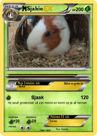 Pokemon Sjakie
